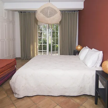 814 Monte Estrelicias