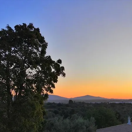 814 Monte Estrelicias *